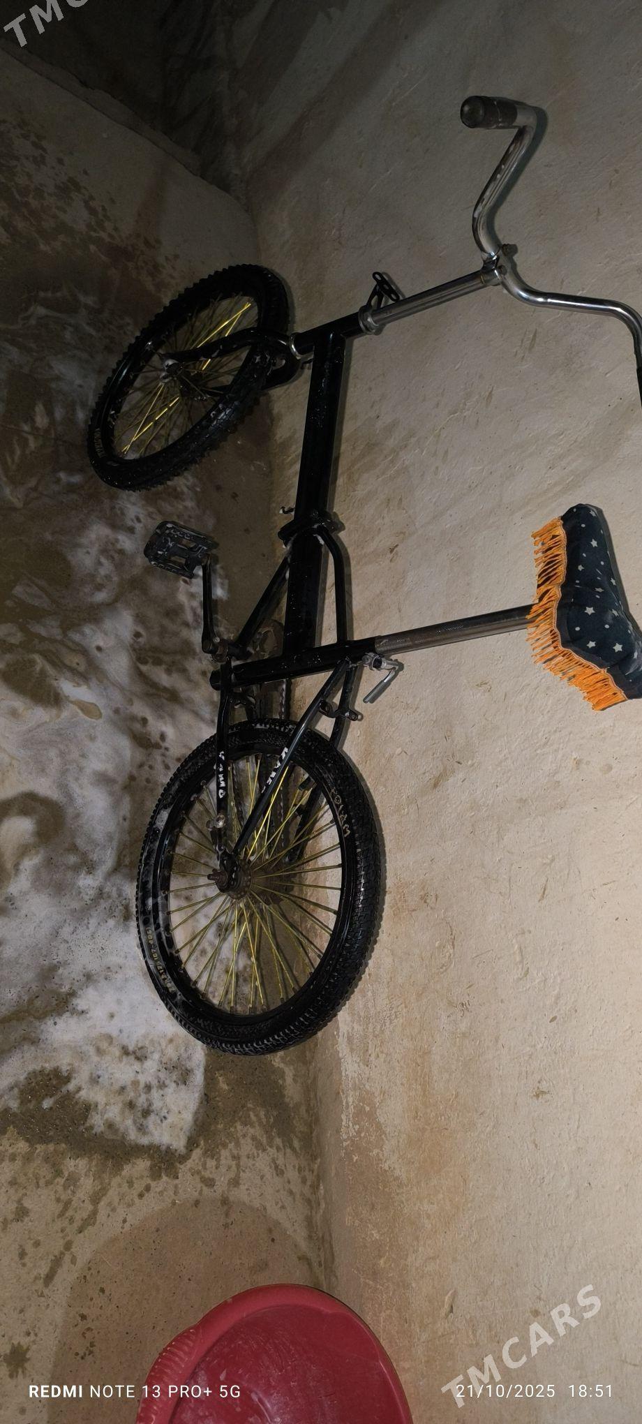 Kama tejen - Tejen - img 1