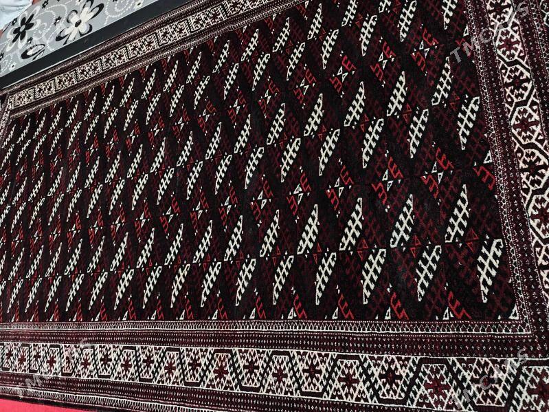 haly - Balkanabat - img 2