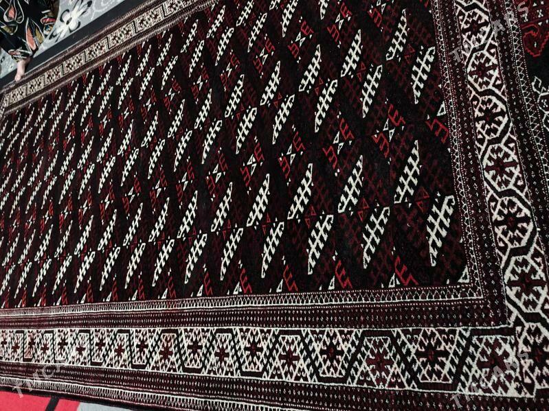 haly - Balkanabat - img 3