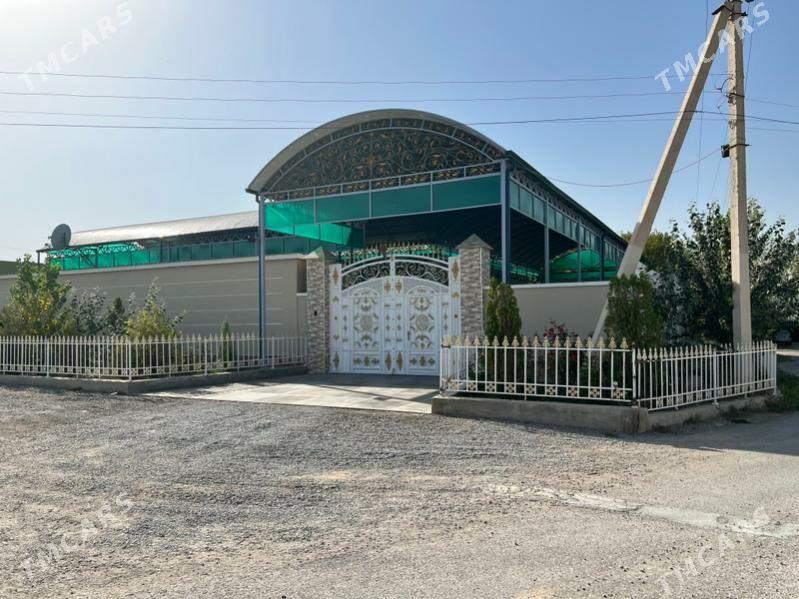 Bagyr Mirewe Багир Миреве - Ашхабад - img 2