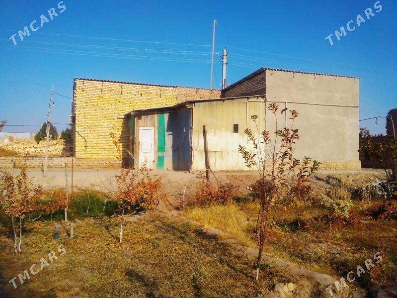 Satlyk jay - Ходжамбаз - img 4