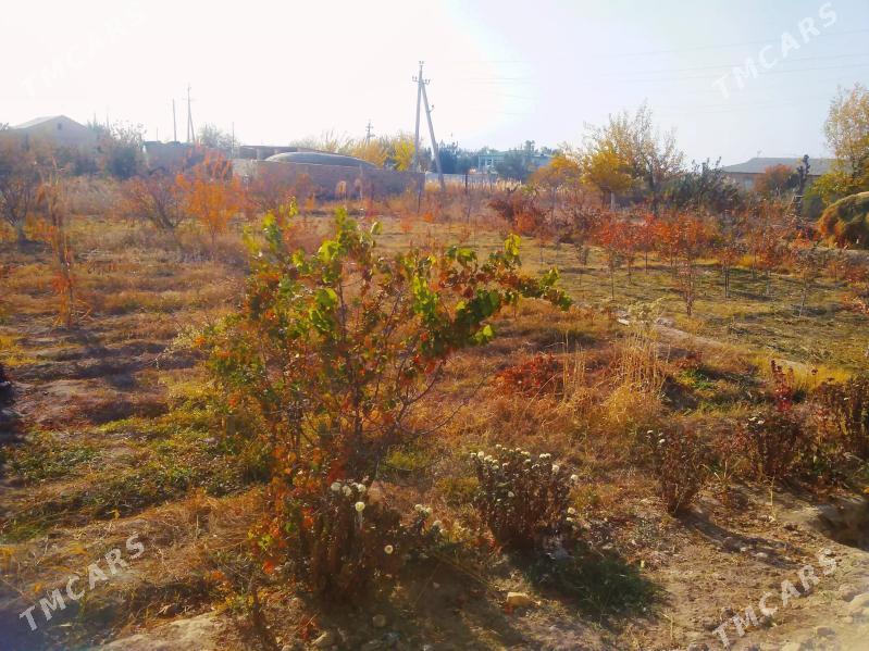 Satlyk jay - Ходжамбаз - img 5