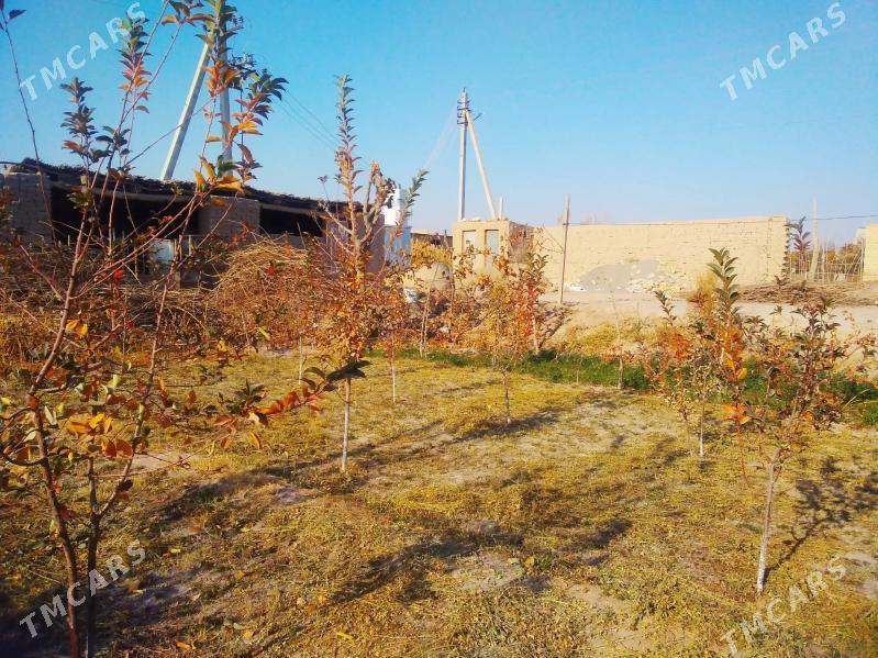 Satlyk jay - Ходжамбаз - img 6