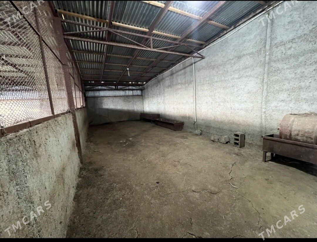 ferma - Gyzylarbat - img 2