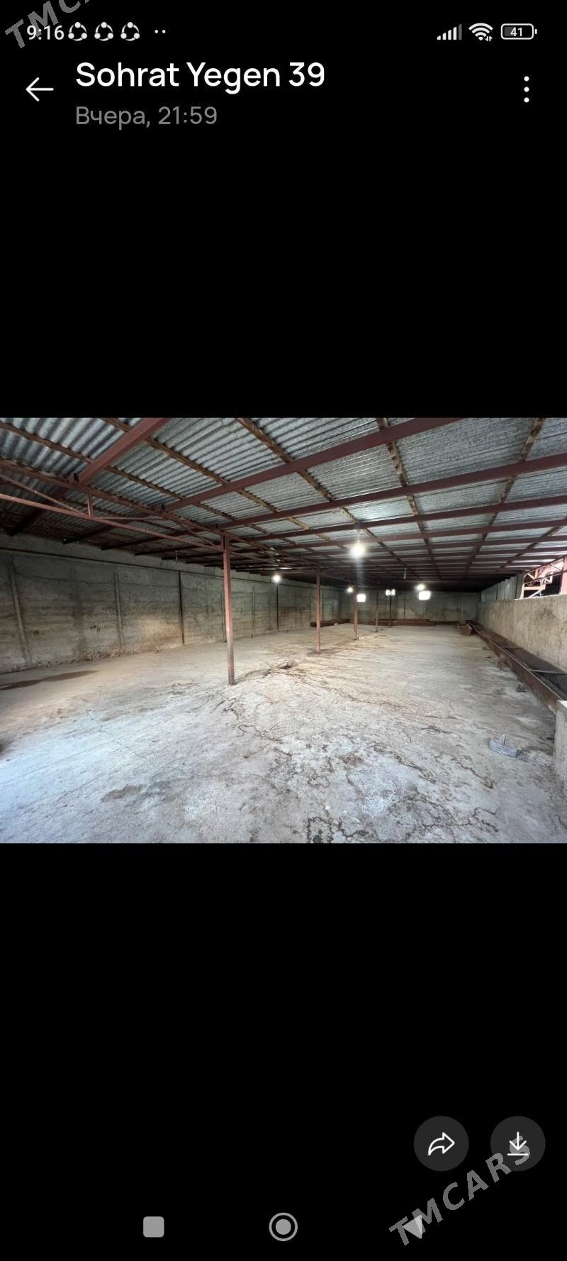 ferma - Gyzylarbat - img 6