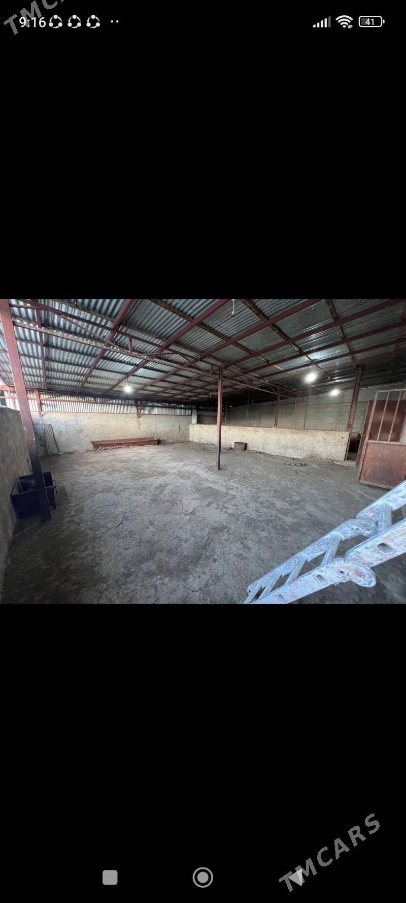 ferma - Gyzylarbat - img 9