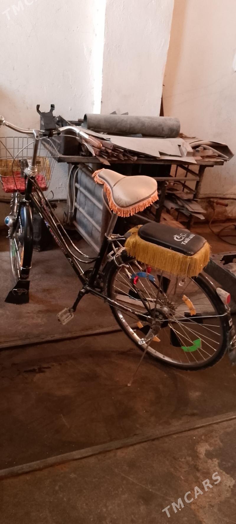 Welsapedt - Tejen - img 2