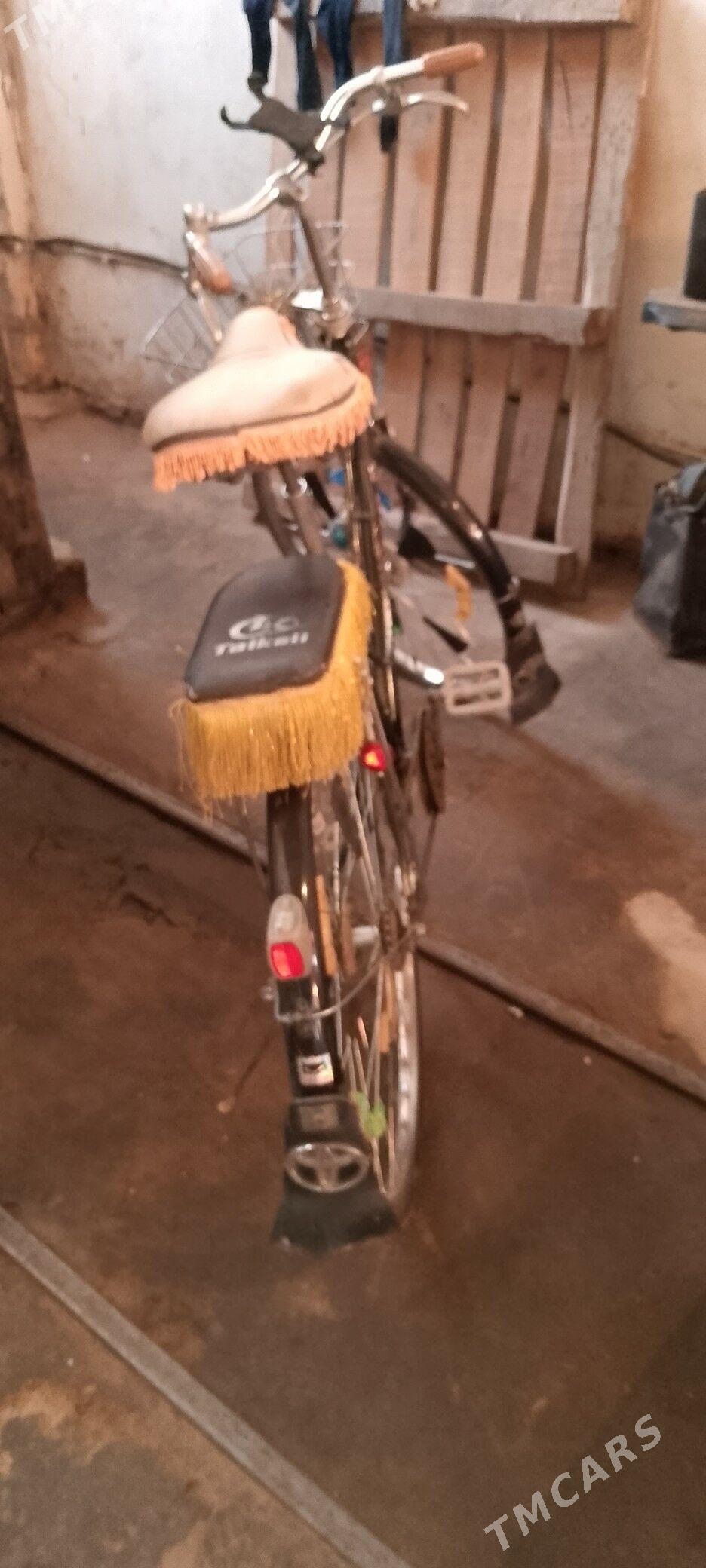 Welsapedt - Tejen - img 4