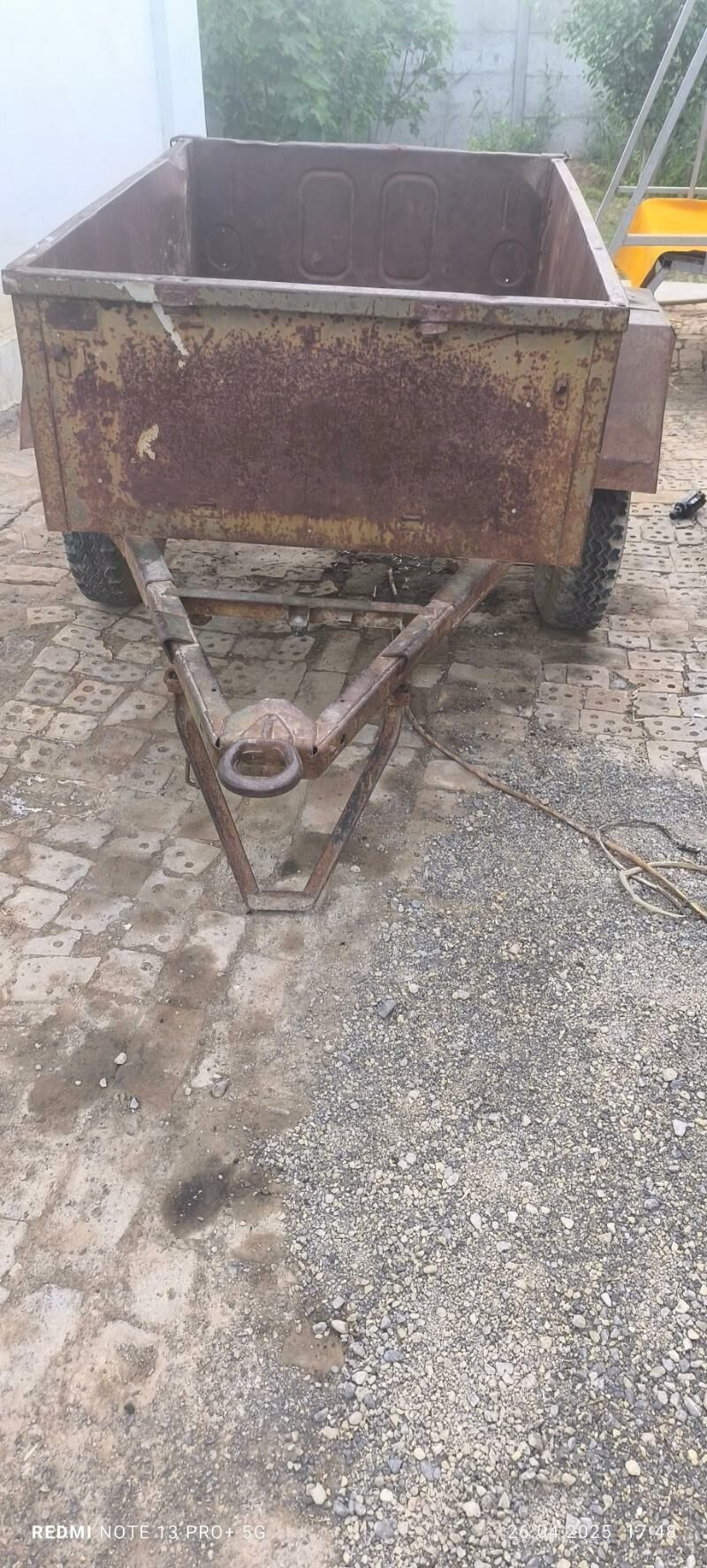 Pirisep 3 000 TMT - Mary - img 2