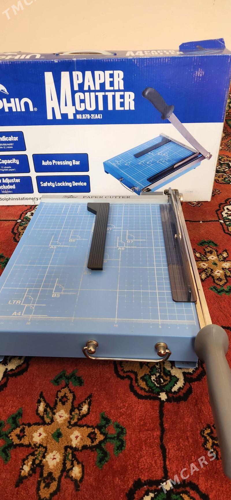 Ryzak, kagyz kesyan (dolphin) - Aşgabat - img 2