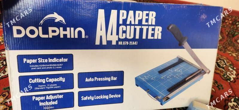 Ryzak, kagyz kesyan (dolphin) - Aşgabat - img 3