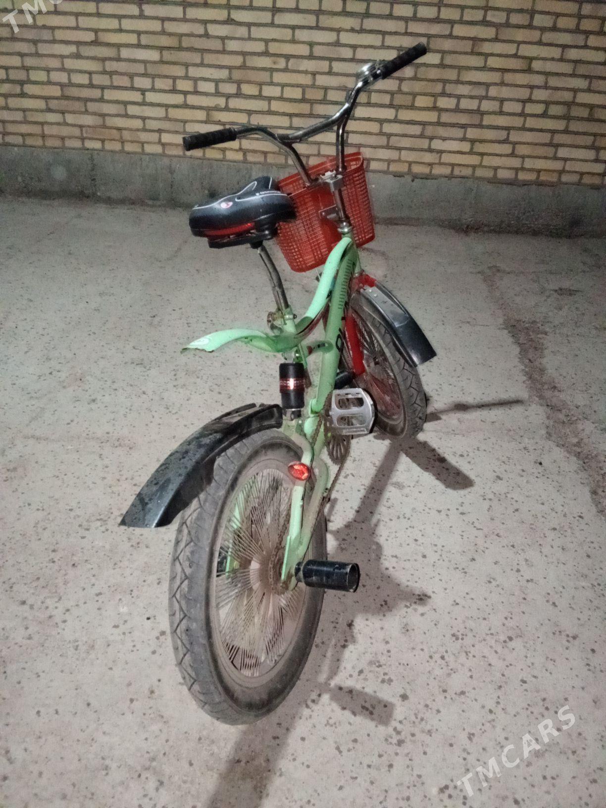 Tigir - Saýat - img 2