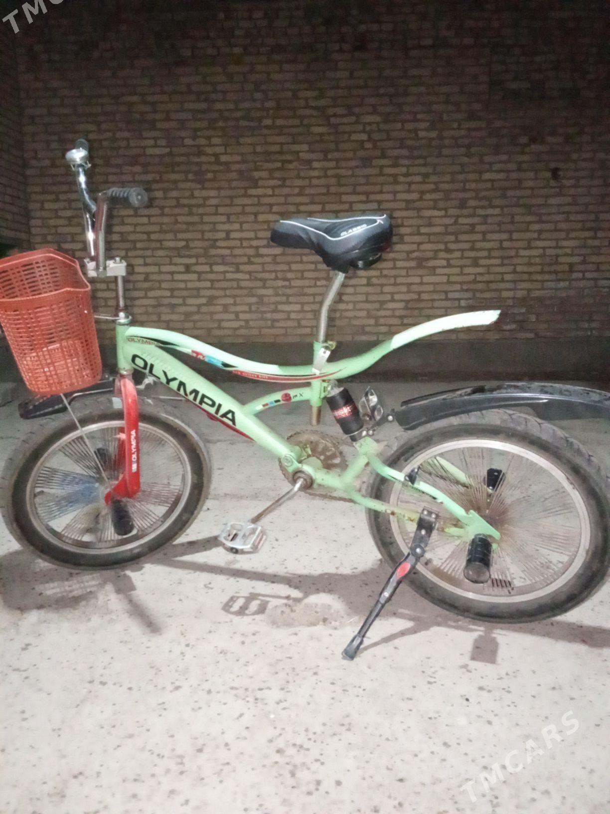 Tigir - Saýat - img 3