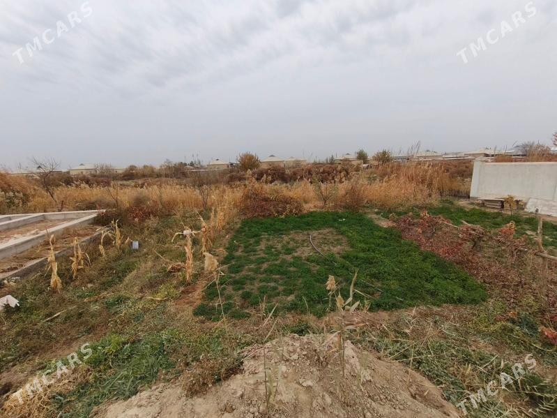 Satlyk howly - Mary - img 6