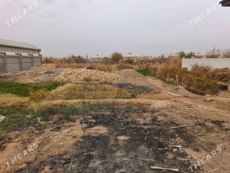 Satlyk howly - Mary - img 5