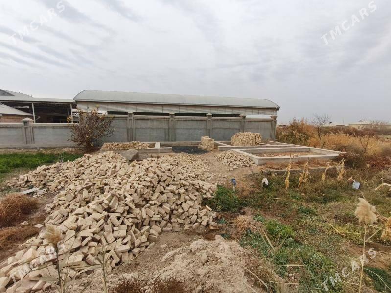 Satlyk howly - Mary - img 4