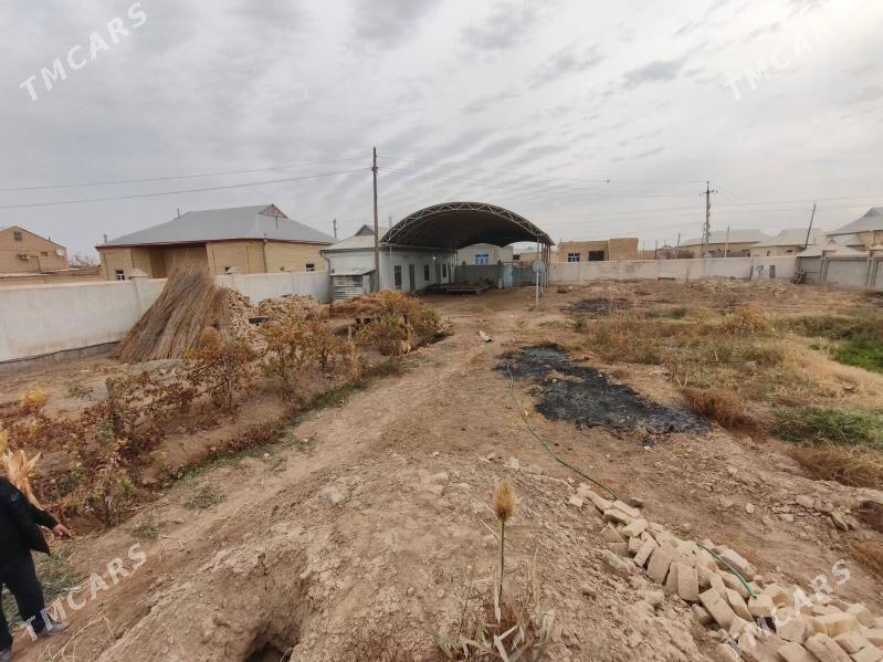 Satlyk howly - Mary - img 2