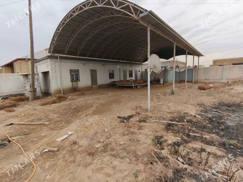 Satlyk howly - Mary - img 3