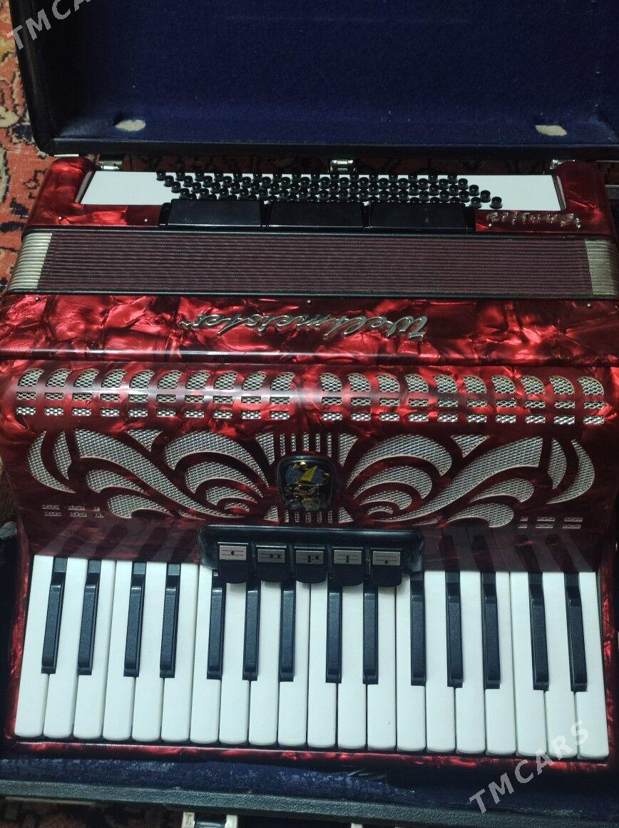 Akkordion - Mary - img 5