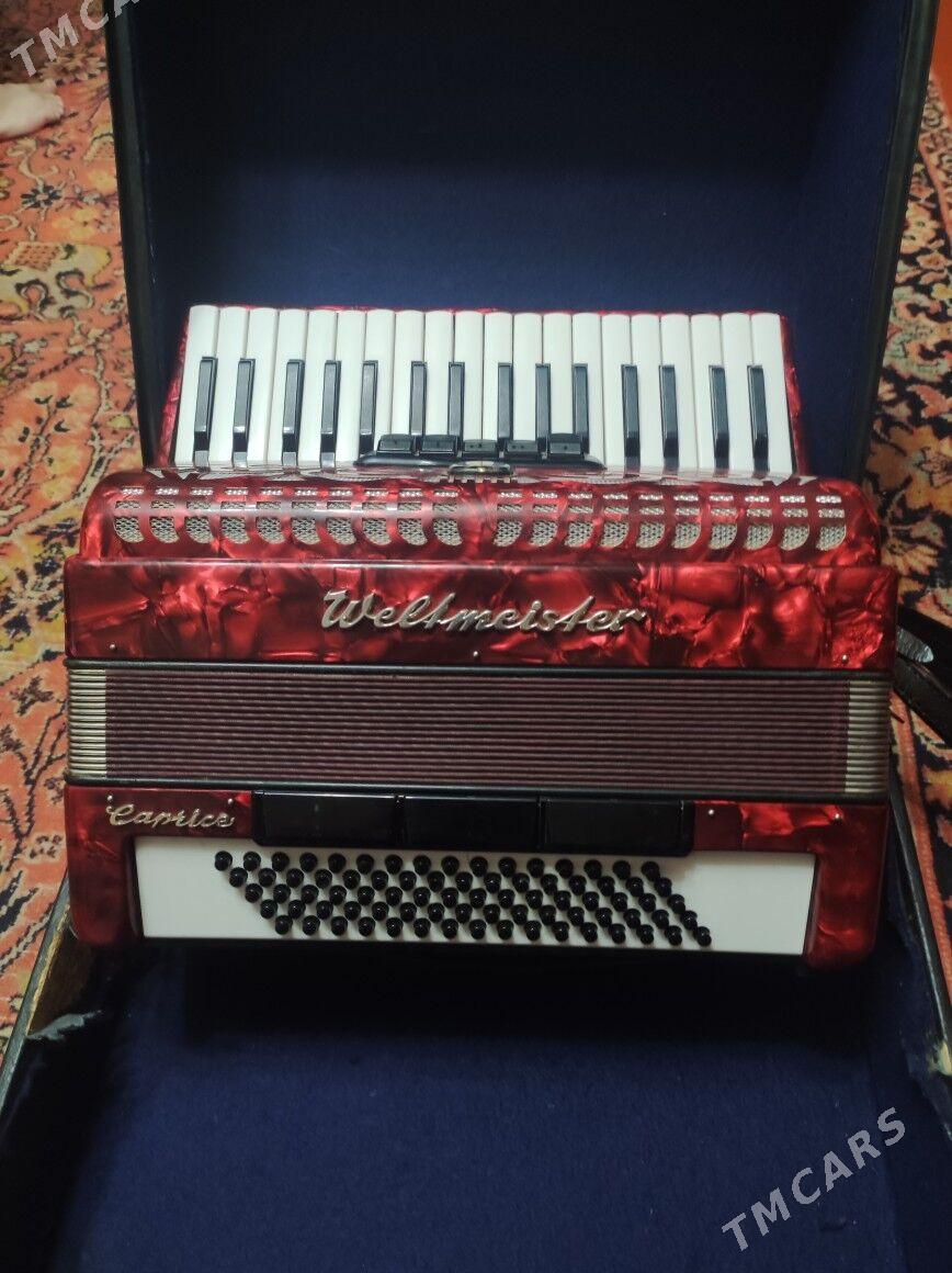 Akkordion - Mary - img 3