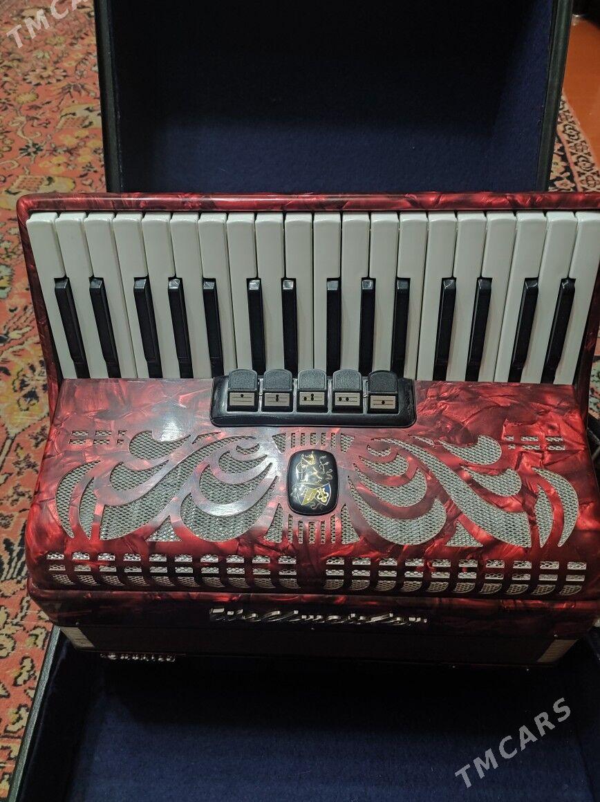 Akkordion - Mary - img 4