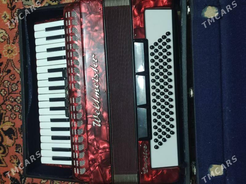 Akkordion - Mary - img 2