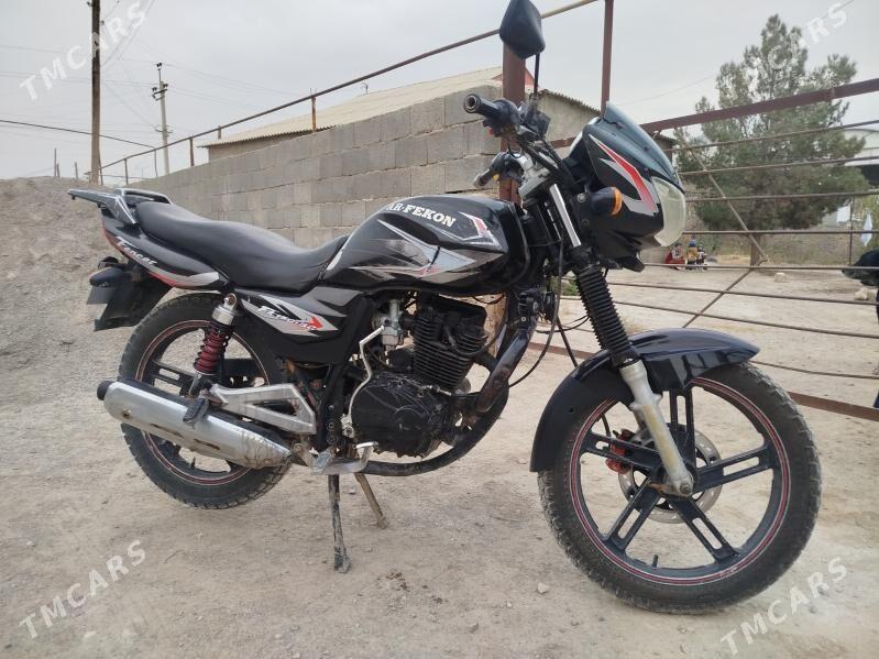 Fekon FK200-14G 2014 - 16 000 TMT - Магданлы - img 2
