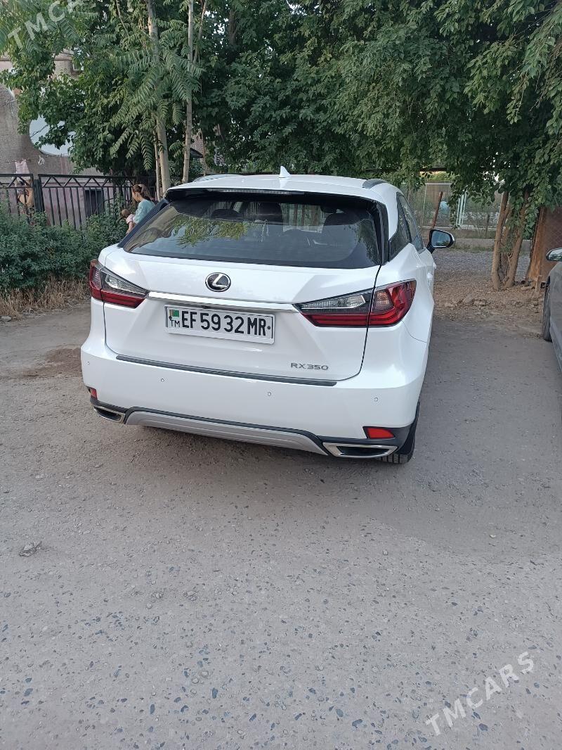 Lexus RX 350 2020 - 540 000 TMT - Mary - img 4