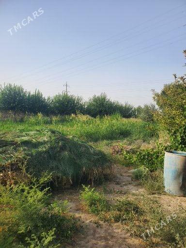 Mellek. Jay - Байрамали - img 5