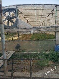 Mellek. Jay - Байрамали - img 10