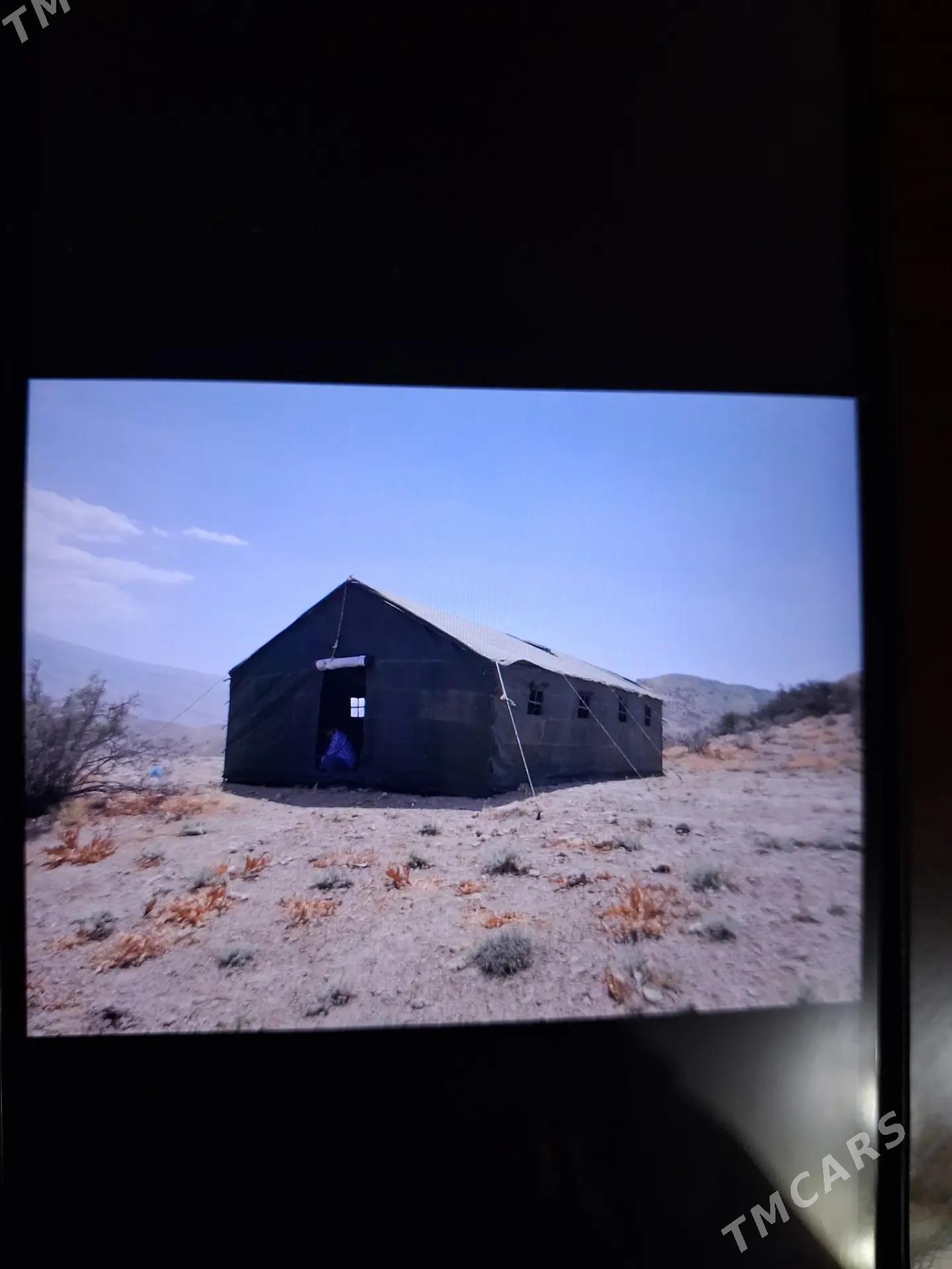 meýdan cadyrlary - Sakarçäge - img 4