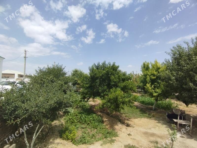 МУГТ ХОВЛЫДА ЯШАМАЛЫ ВЕ СЕРЕТМ - Гёкдепе - img 2