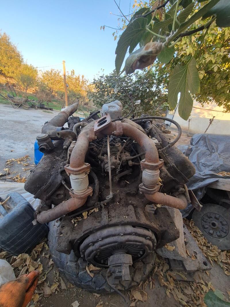 maz maror 30 000 TMT - Aşgabat - img 3