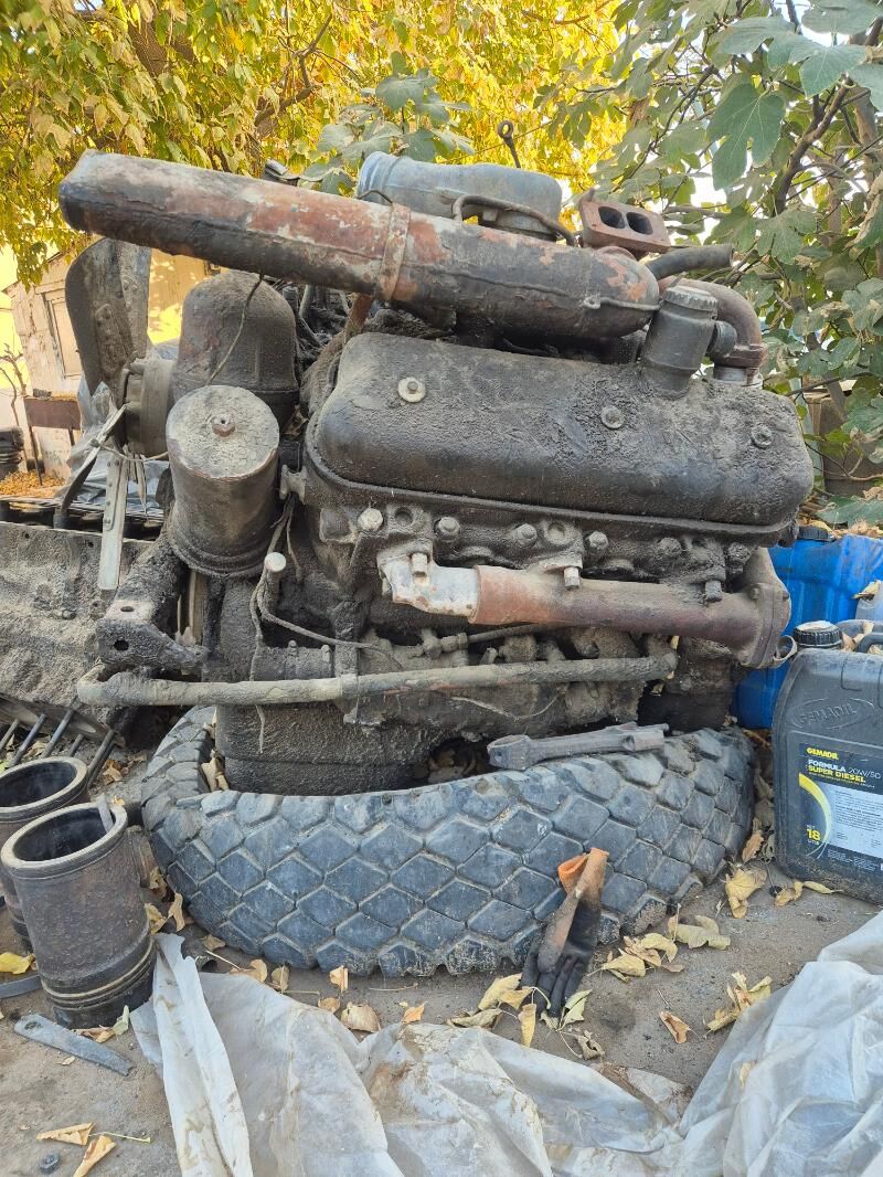 maz maror 30 000 TMT - Aşgabat - img 4