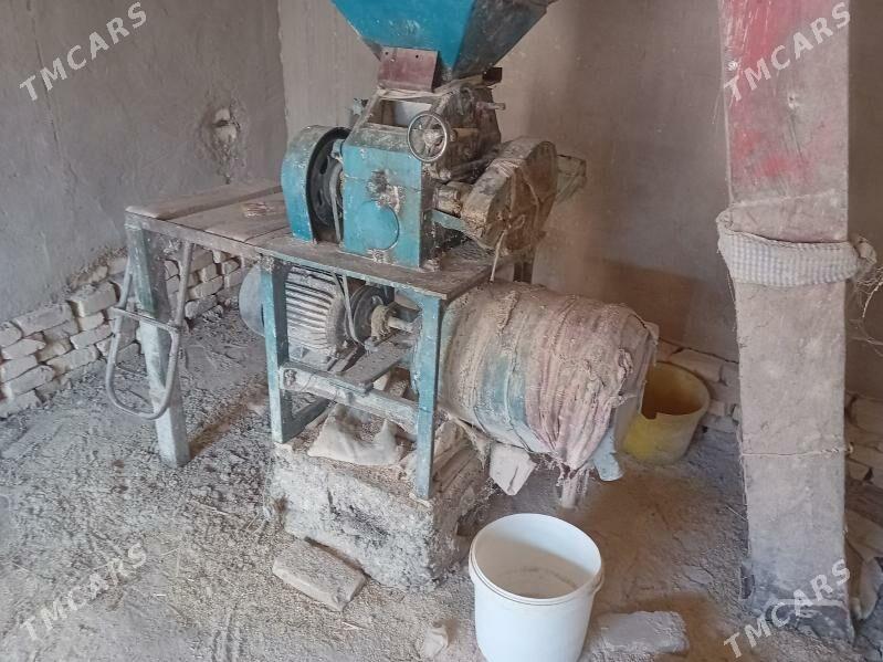 Haraz  30lyk - Ýolöten - img 2