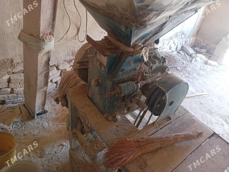 Haraz  30lyk - Ýolöten - img 5