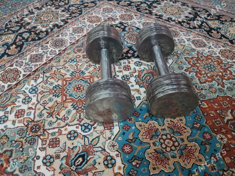 GANTEL 11Kg  ГАНТЕЛИ - Туркменбаши - img 2