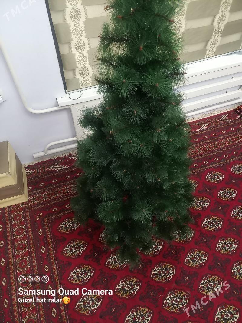 yolka - Daşoguz - img 2