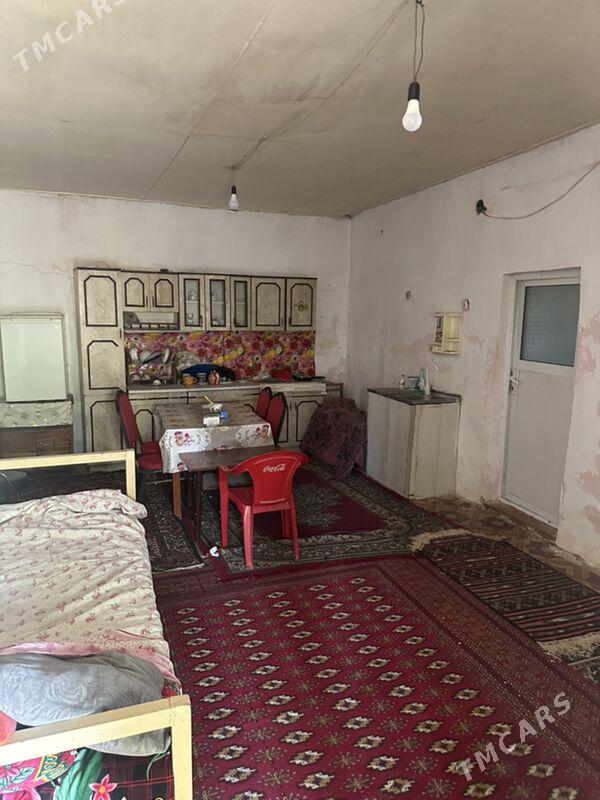 Daca geolog - Ак-Бугдайский этрап - img 6