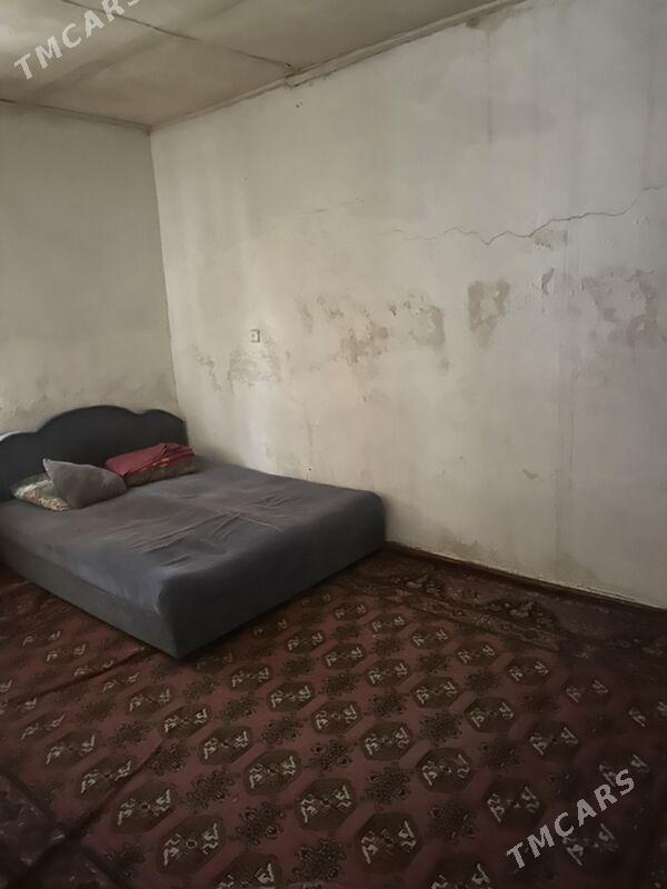 Daca geolog - Ак-Бугдайский этрап - img 8