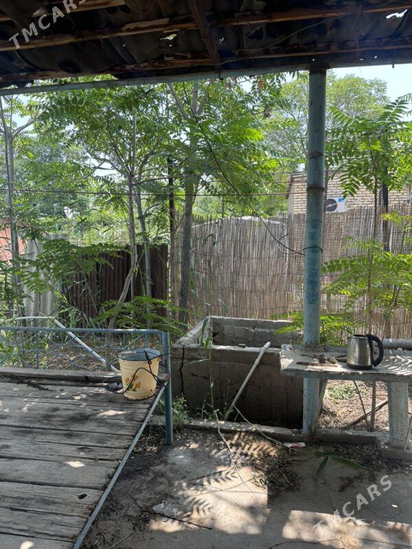 Daca geolog - Ак-Бугдайский этрап - img 3