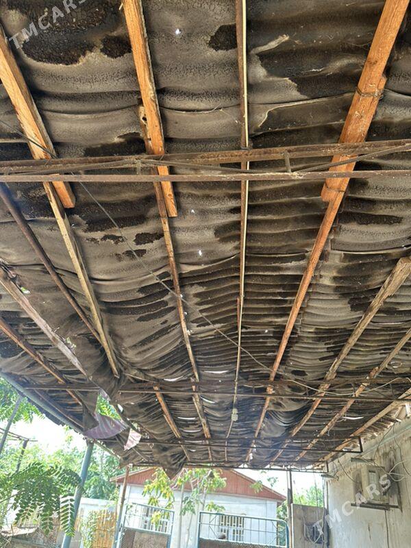 Daca geolog - Ак-Бугдайский этрап - img 4