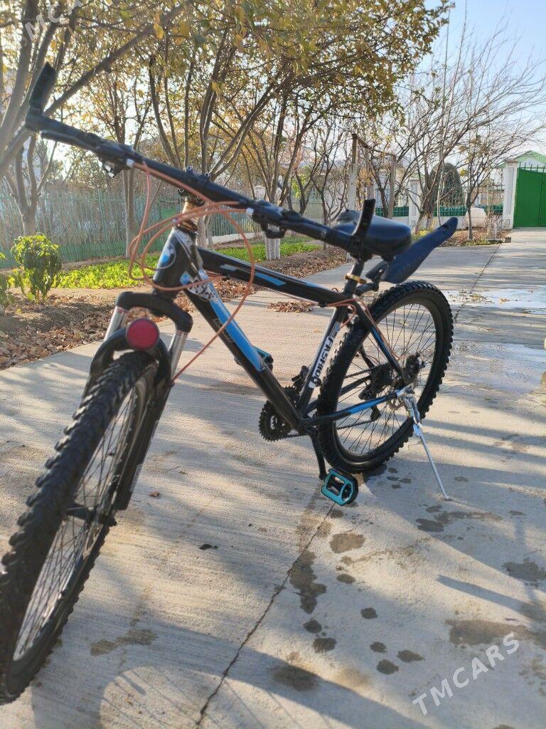 Tigir - Täze zaman - img 5