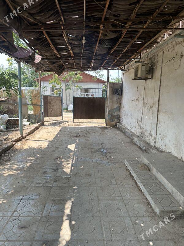 Daca geolog - Ак-Бугдайский этрап - img 5