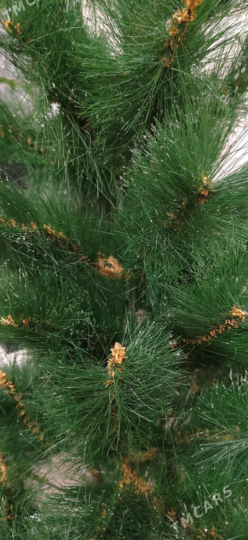 Ёлка - 3 мкр - img 5