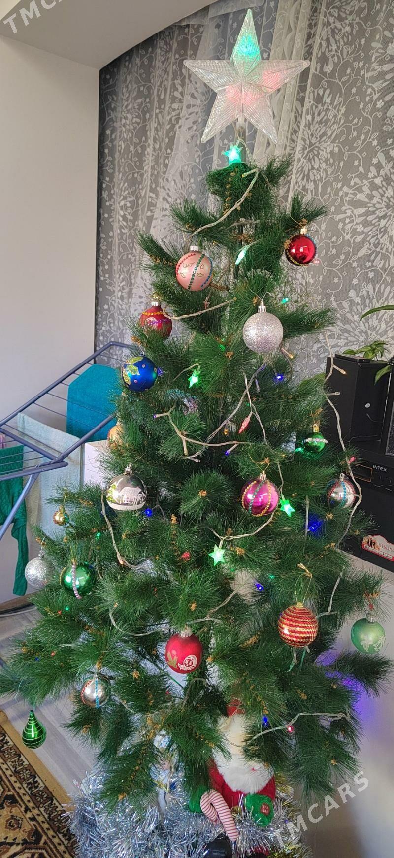 Ёлка - 3 мкр - img 2