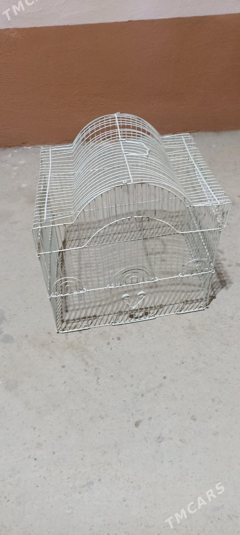 Guş kletka - Gyzylarbat - img 2