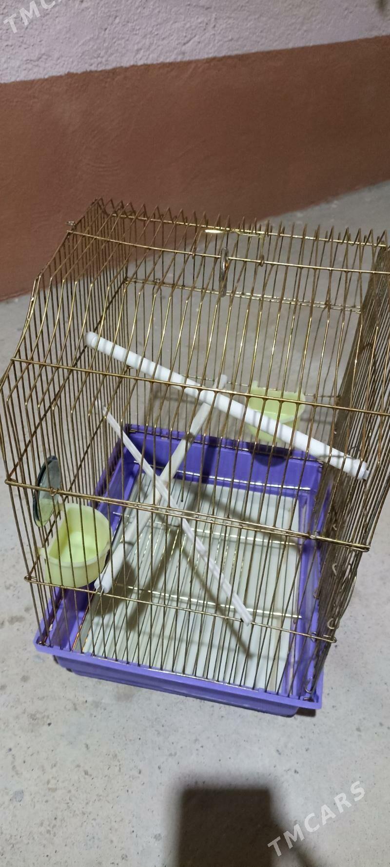 Guş kletka - Gyzylarbat - img 4