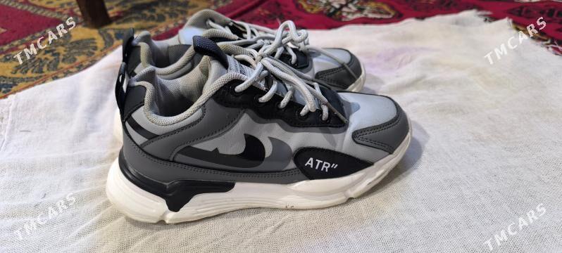 Çaga Krasopkalar красофка - Balkanabat - img 9