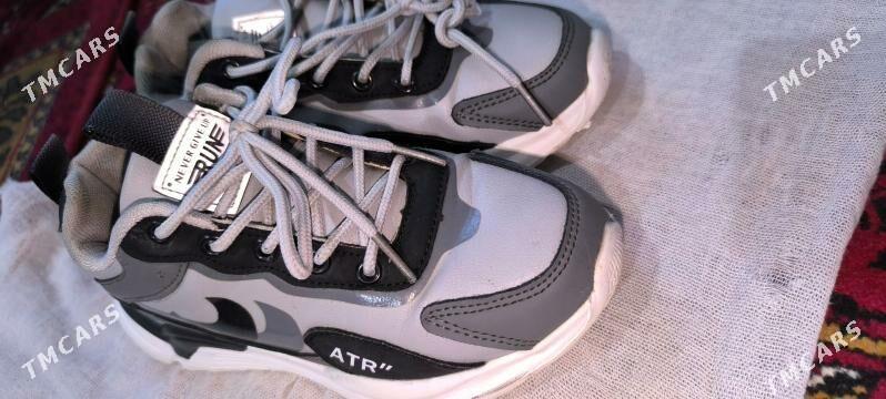 Çaga Krasopkalar красофка - Balkanabat - img 2